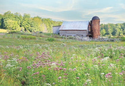 Scenic & Landscapes