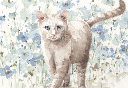 Cats